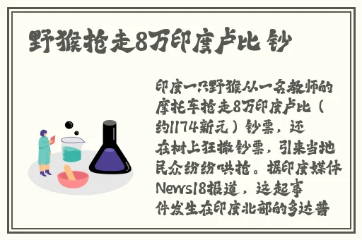 麻豆视频入口